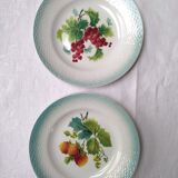 8 plates dabbling 2 decorations, currants, raspberries