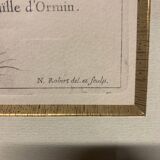 Lot of Paintings Botanical Engravings Old Vintage Herbariums