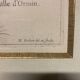 Lot of Paintings Botanical Engravings Old Vintage Herbariums