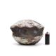 Ceramic shell emptier by Kostanda, Vallauris, 1960s