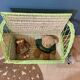 Vintage rattan bench toy chest