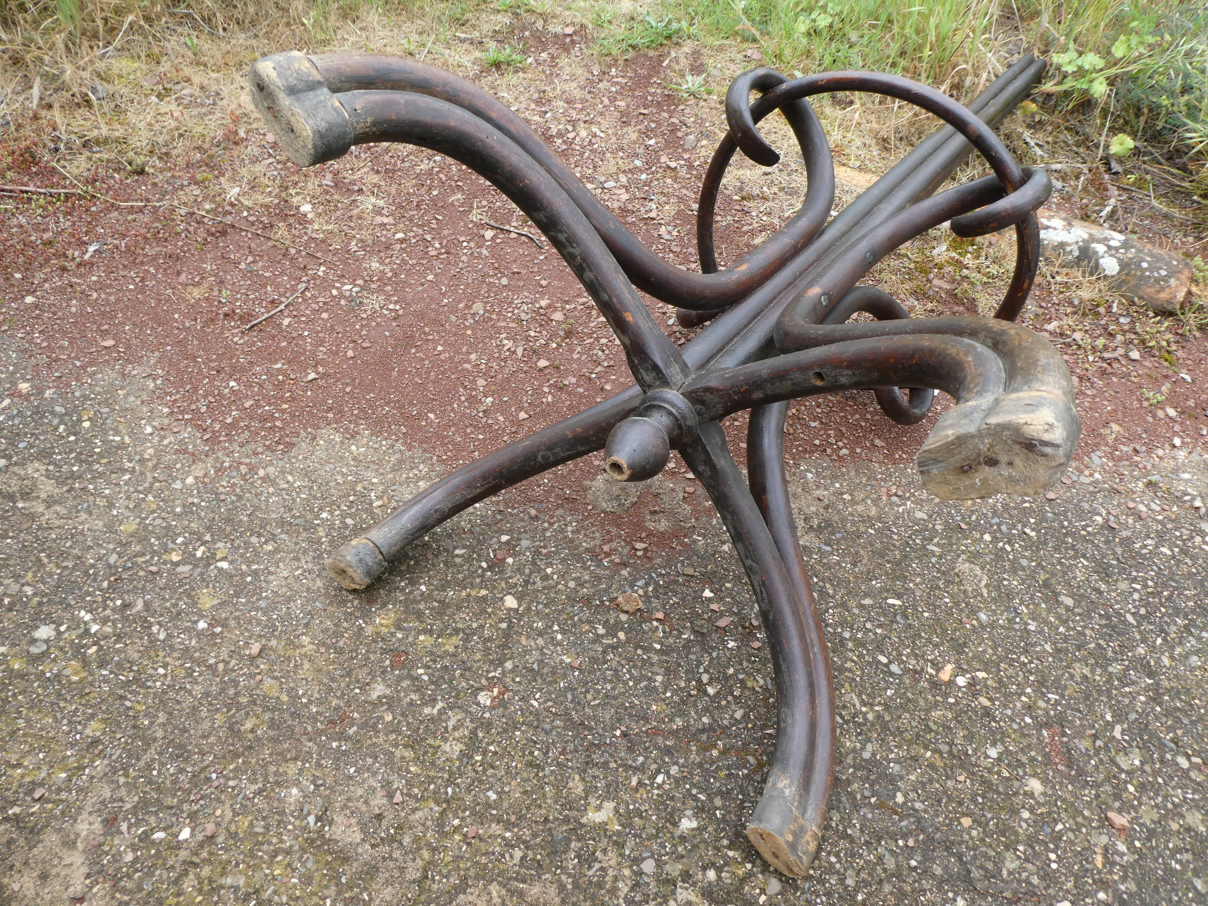 Parrot coat holder in curved wood - Art Nouveau
