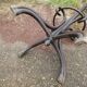 Parrot coat holder in curved wood - Art Nouveau