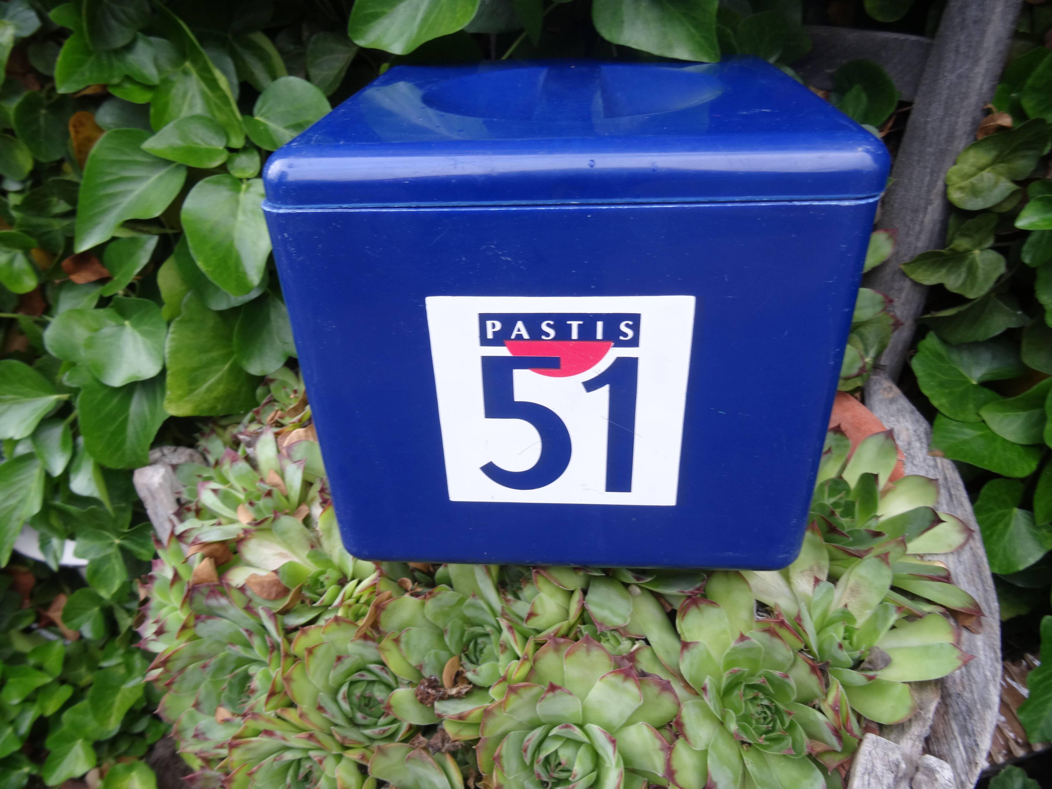 Bac à glaçons Pastis 51
