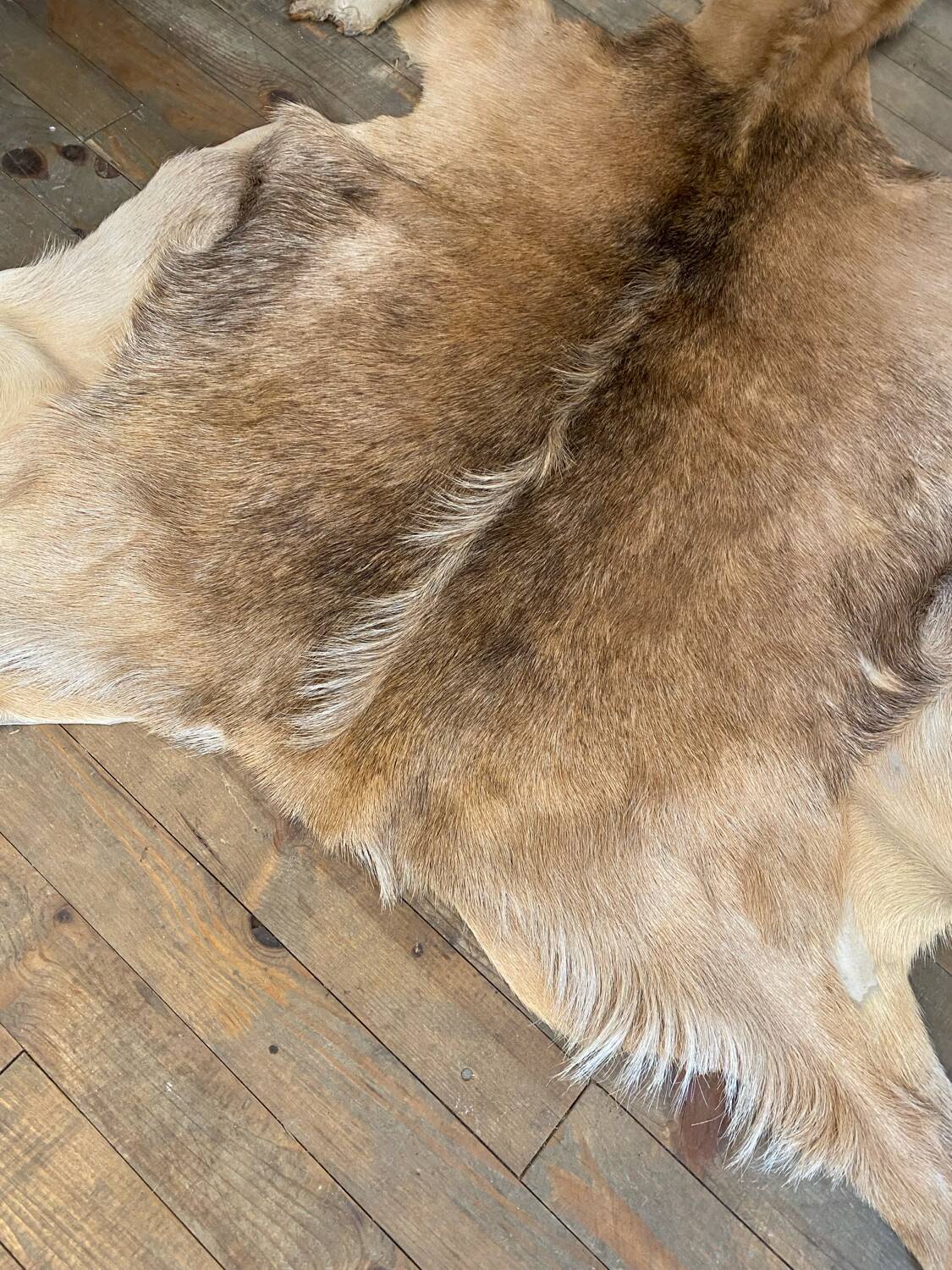 Vintage rug