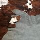 XxL vintage cow skin rug 1970