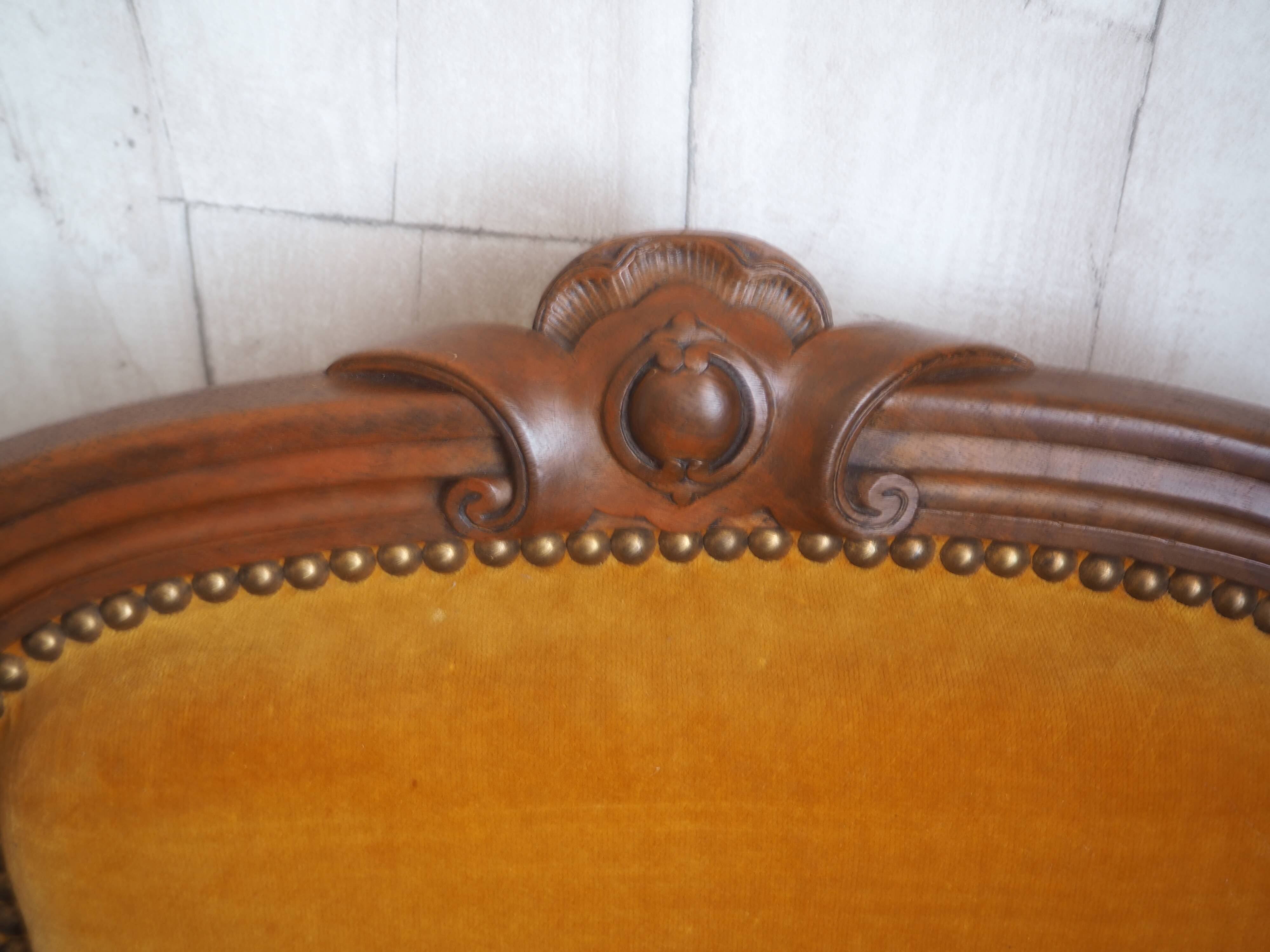 Antique Regency Style padded chair - Wooden structure and horsehair padding - Mustard color