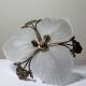 Lustre Hollywood Regency Art Deco vintage 80-90 Bronze Mariner Shells