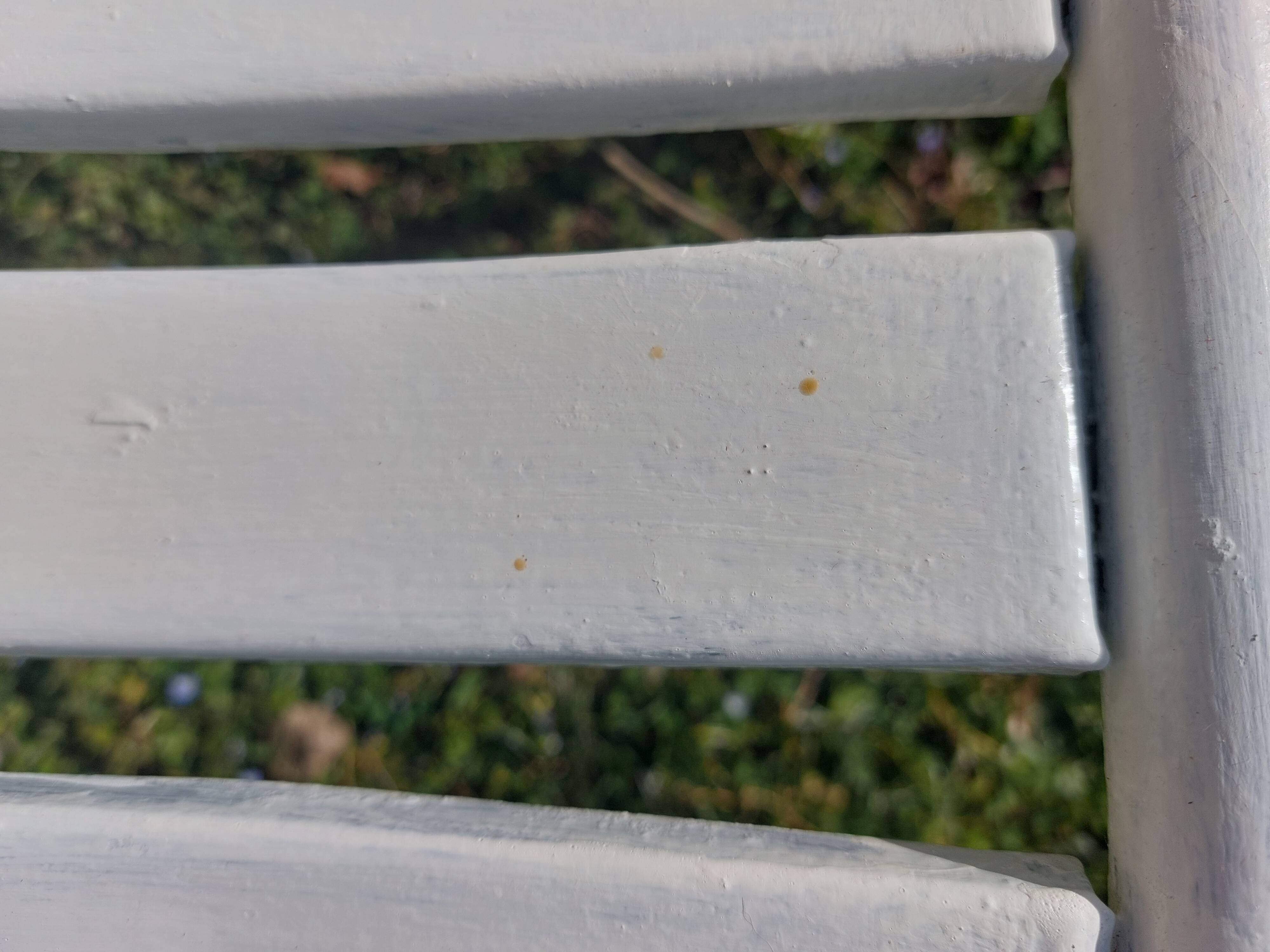 pair of white metal chairs, Tolix style