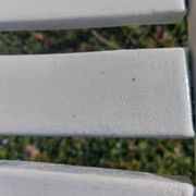 pair of white metal chairs, Tolix style