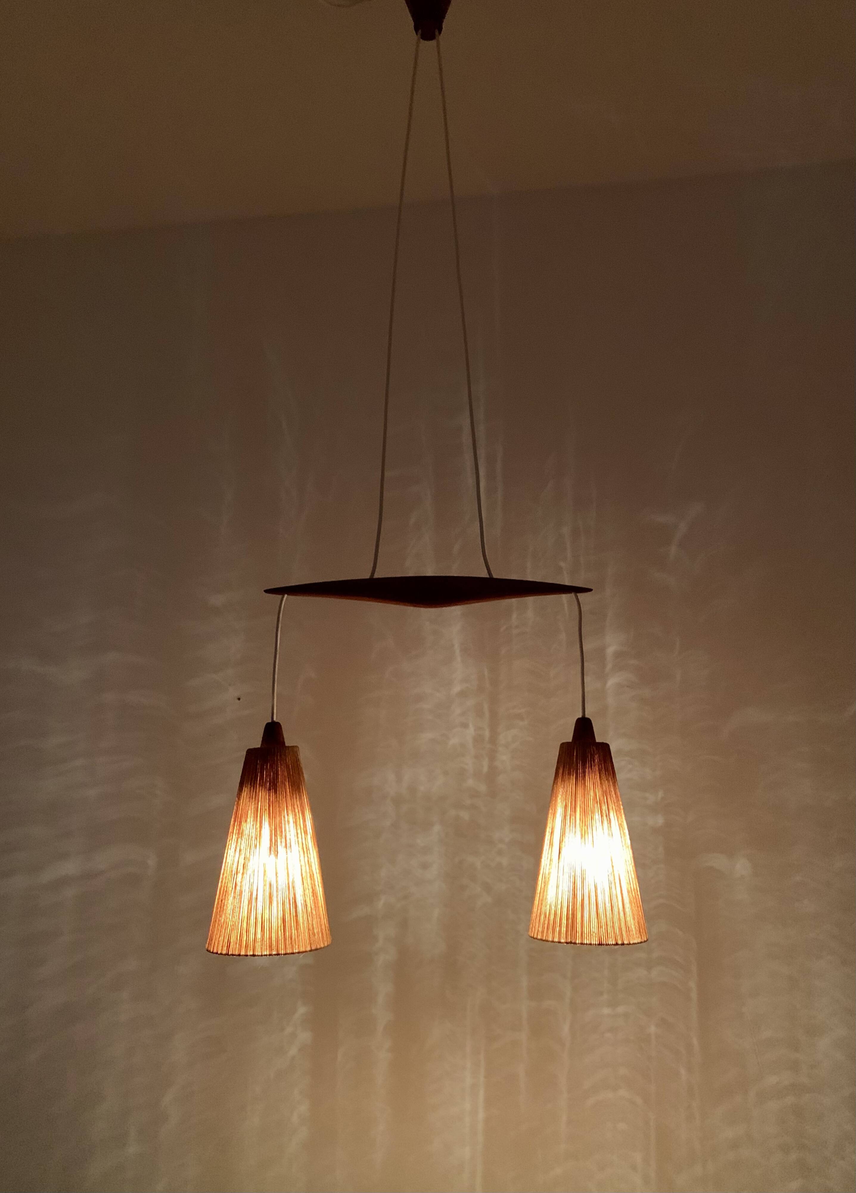 Teakwood and Sisal Pendant Lamp by Temde