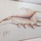 Watercolor signed Romey