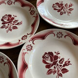 Pink plates iron earth amandinoise
