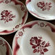 Pink plates iron earth amandinoise