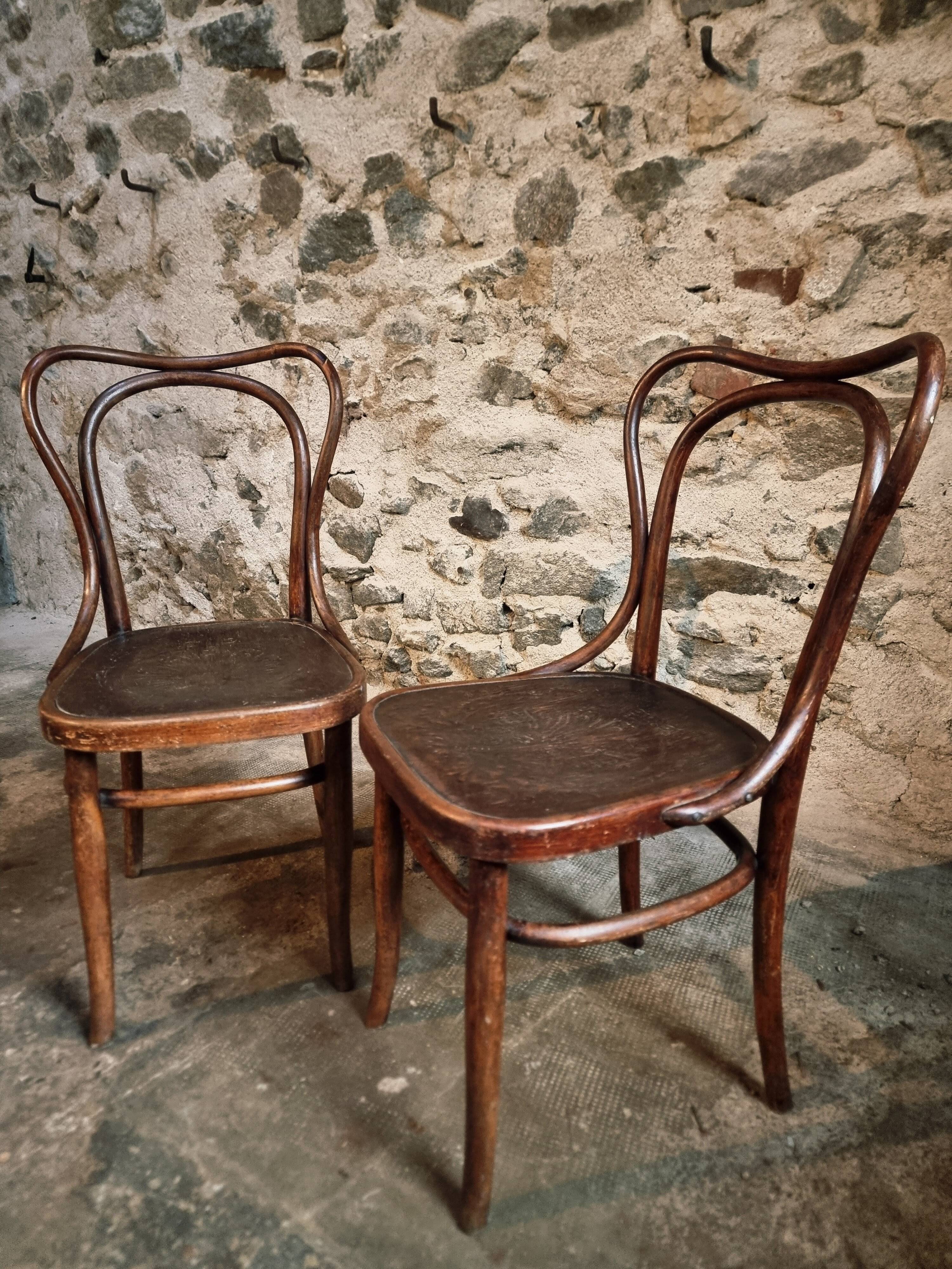 Pair of curved wooden chairs by Jacob & Josef Kohn, Vienna circa 1900