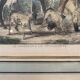 Antique engraving , the hunter to the discovery early XX century