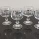 Set of 6 wine glasses on feet decoration grapes and vine shoot