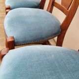 Set of 6 directoire style velvet chairs