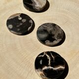 Set of 4 fossilized wooden coasters