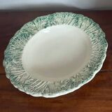 Soup plates with cabbage barbotine