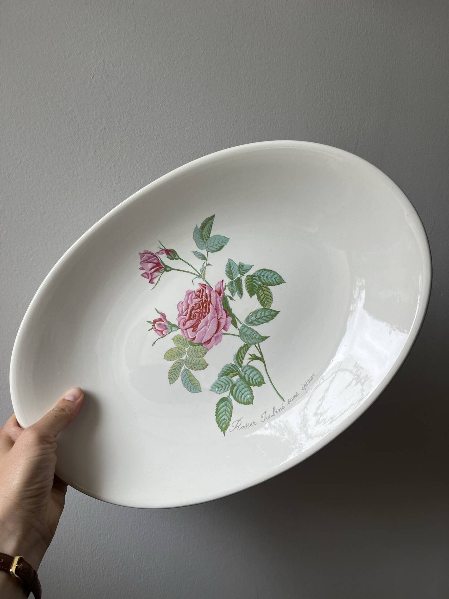 Plat faïence Salins - Rose de Redouté