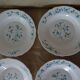 18 assiettes fleurs bleues veronica Arcopal vintage