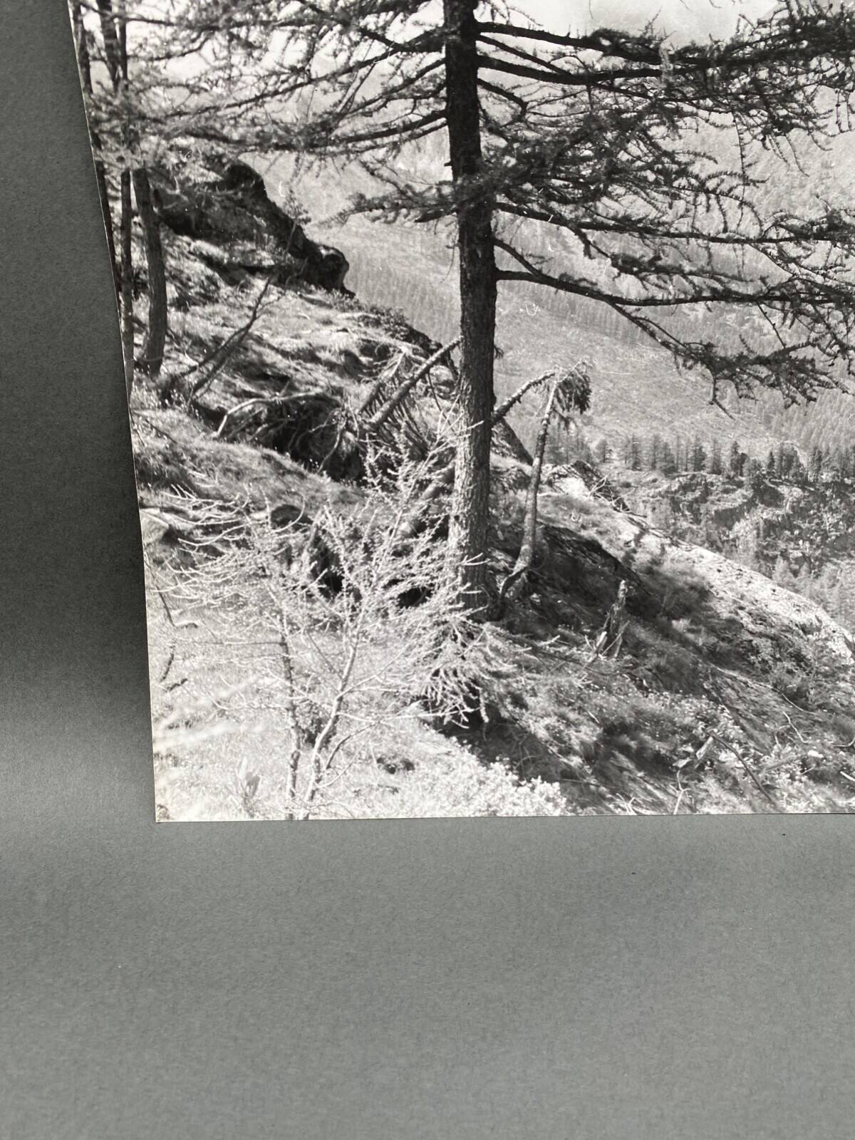 Bernard Darot silver gelatin photograph of a 20th-century mountain landscape