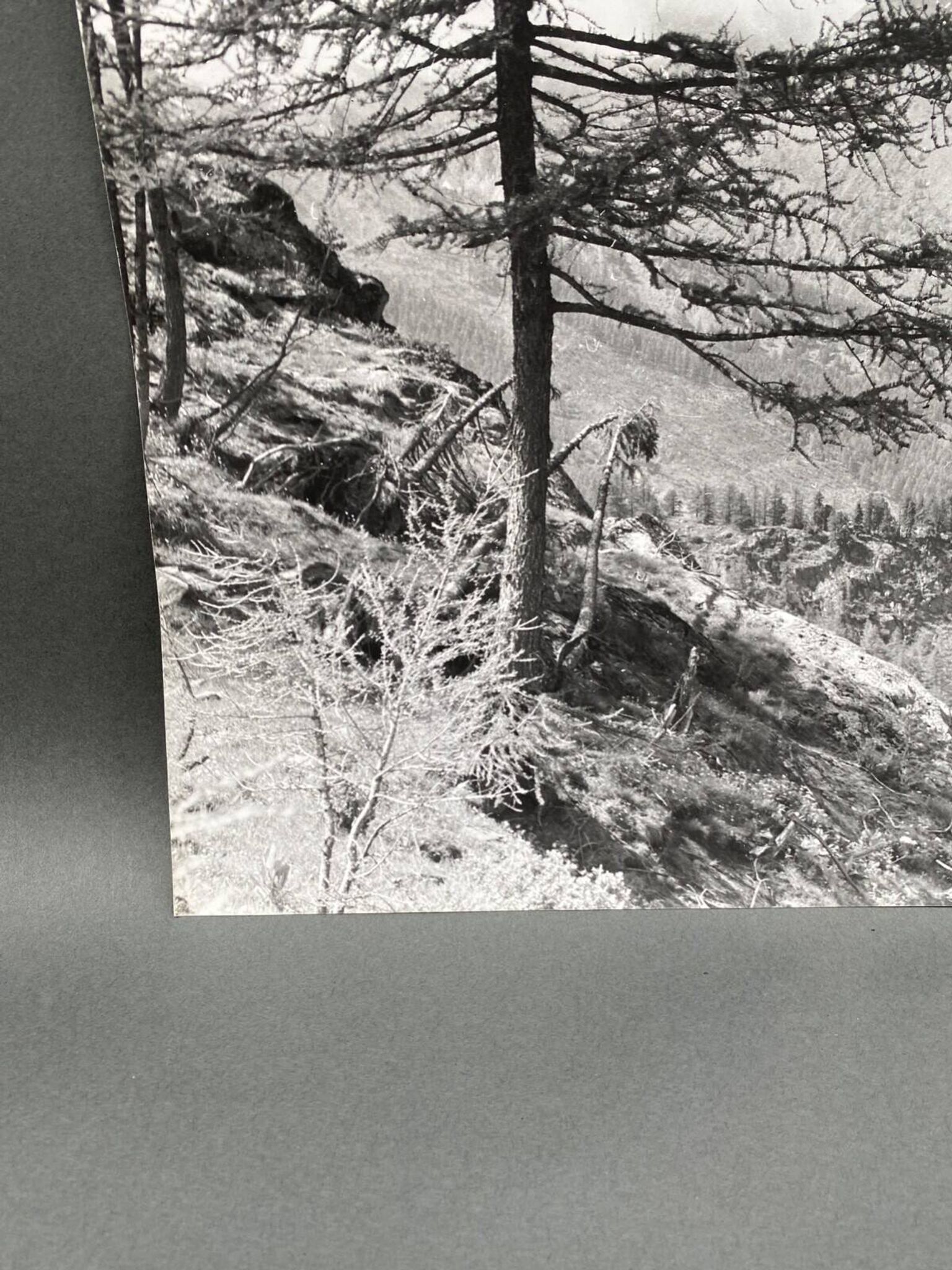 Bernard Darot silver gelatin photograph of a 20th-century mountain landscape