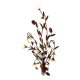 Florentine applique, floral and botanical, copper.