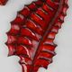 Belgian ceramic red Seahorse Plaque by André Bayer, 1960s