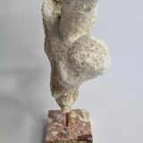 Old white coral branch on pedestal, 27 cm