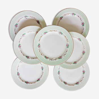 Lot de 7 assiettes plates L'Amandinoise vert menthe