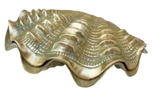 Coffret, boite à bijoux