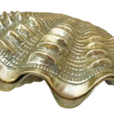 Box, brass jewelry box, giant clam shell shape, 70s
