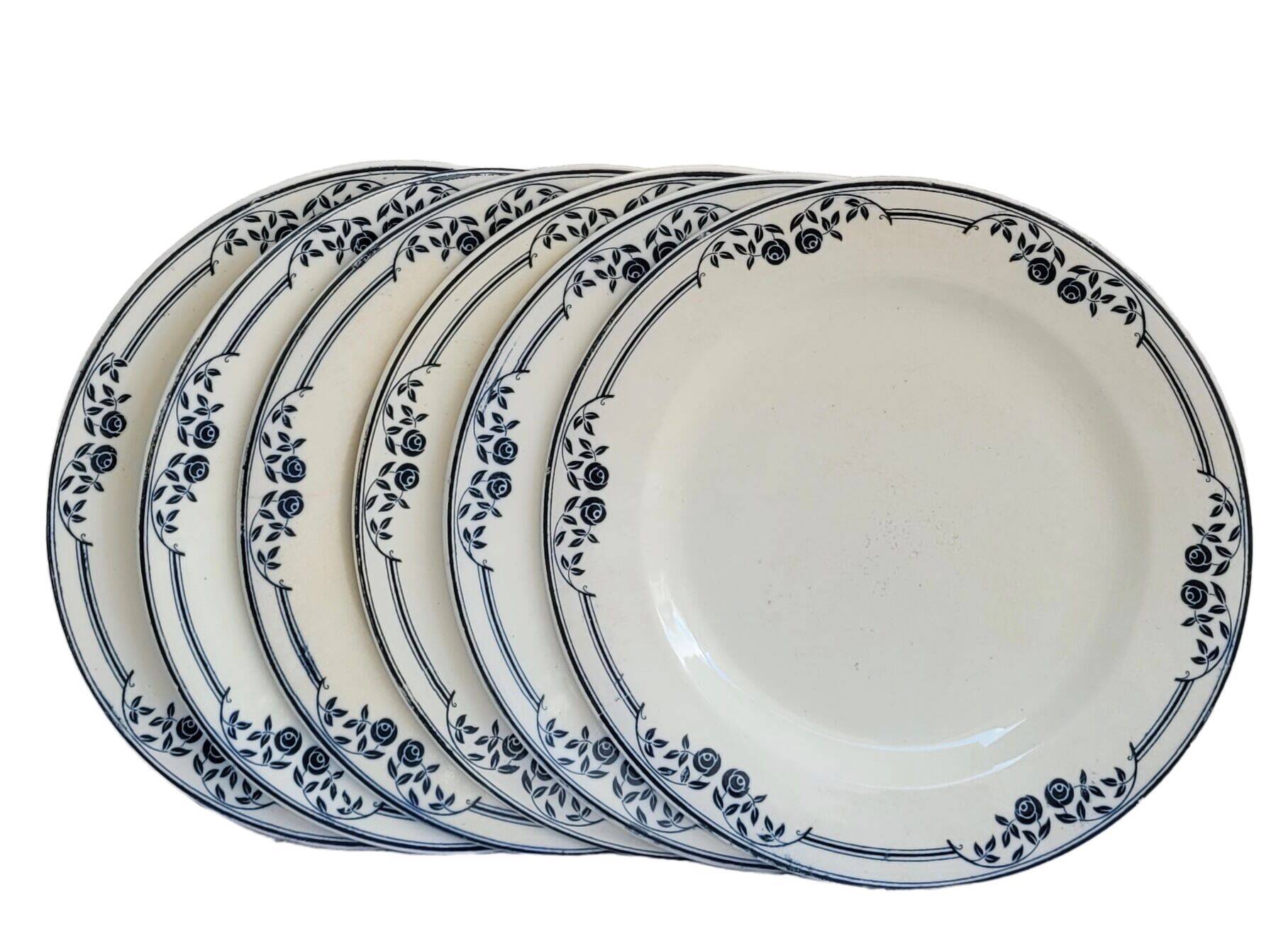 Set of 6 flat plates Salins Model Saussure A.B. Iron Earth