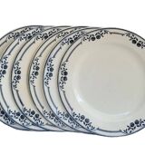 Set of 6 flat plates Salins Model Saussure A.B. Iron Earth
