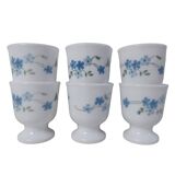 6 arcopal cockroaches myosotis