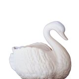 Swan pocket empty