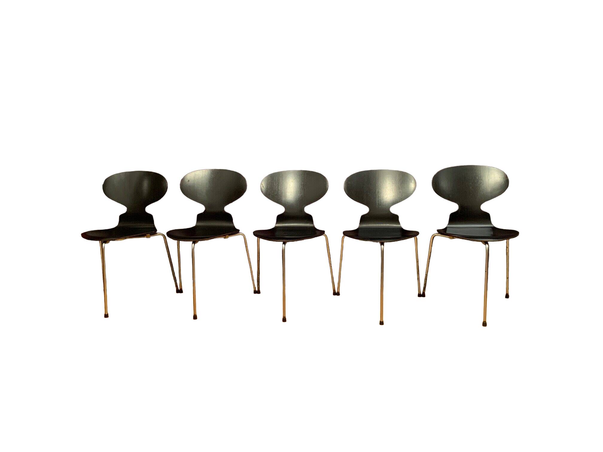 A set of five chairs Early model 3100 by Arne Jacobsen, Fritz Hansen, Denmark, 1963