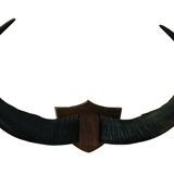 Horns of African animals