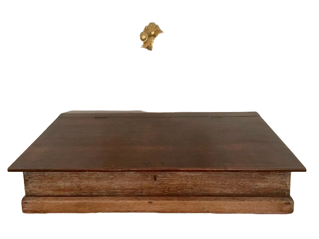 Nineteenth century oak travel writer