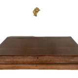 Nineteenth century oak travel writer