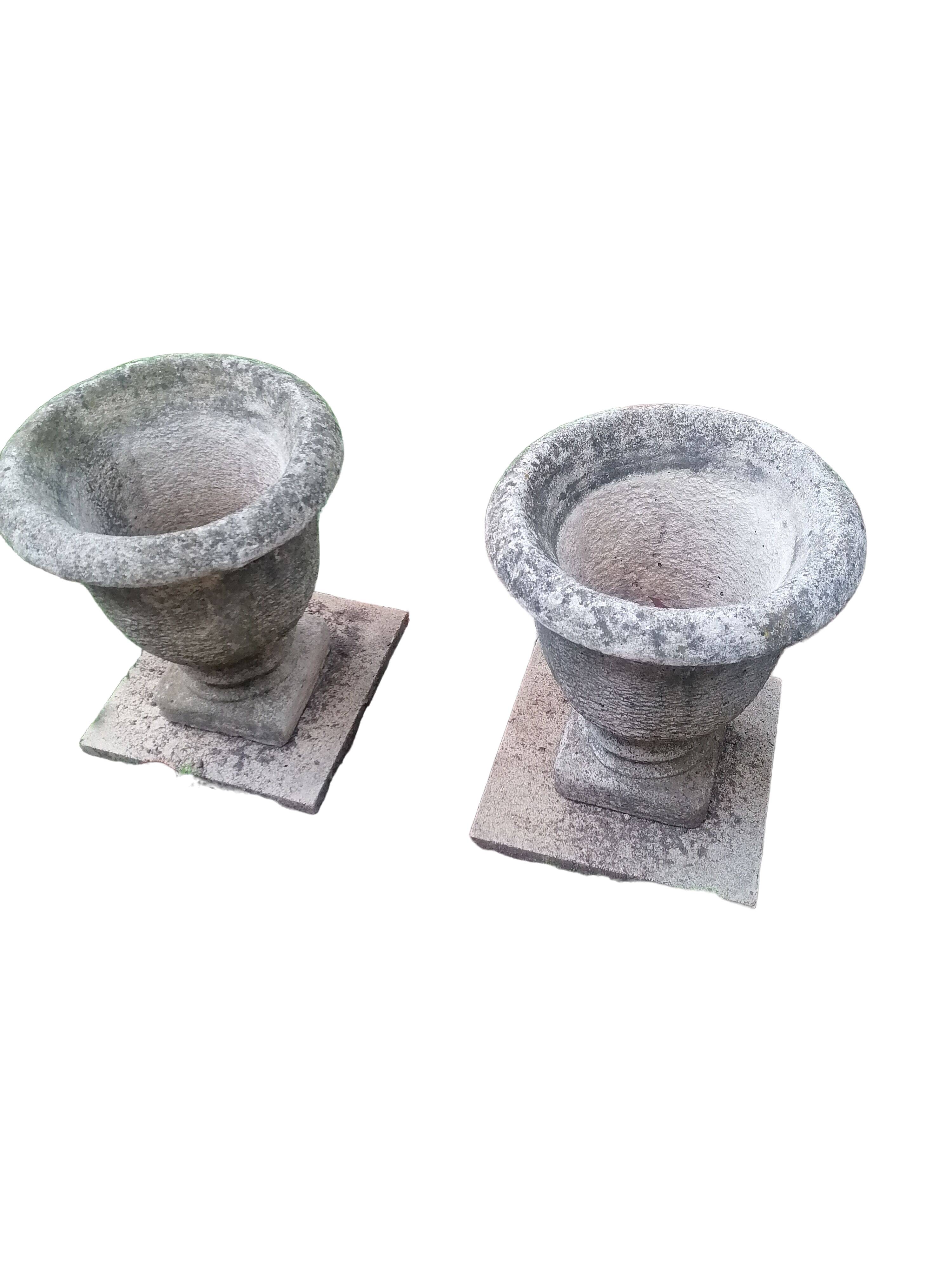 Pair of Medici basins from the 40s - 50s. Garden decoration.