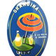 orangina enamelled plate
