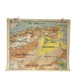 Vintage school map