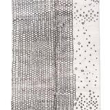 Moroccan berber carpet m'rirt ecru with small graphic patterns 327x218cm