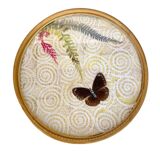Vintage butterfly tray