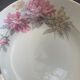 6 assiettes creuses en porcelaine motif pivoines art déco