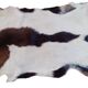 New goat skin