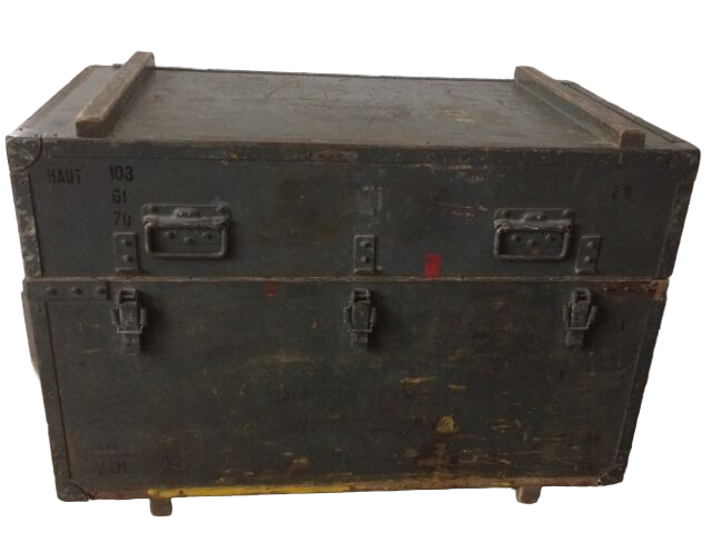 Transport trunk